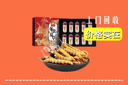 文成县回收冬虫夏草