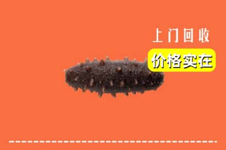 收购资讯:文成县回收海参