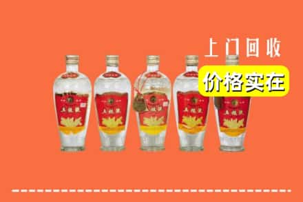 文成县回收老五粮液